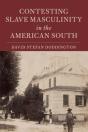 Contesting Slave Masculinity In The American South - Preview
