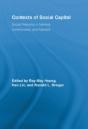 Contexts Of Social Capital - Preview