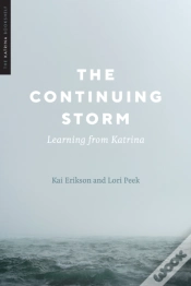 Capa do artigo Continuing Storm