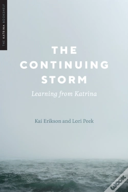 Capa do artigo Continuing Storm