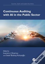 Continuous Auditing With Ai In The Public Sector
