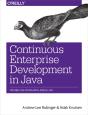 Continuous Enterprise Development In Java - Preview