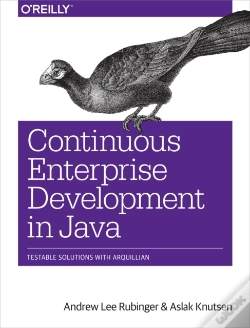 Capa do artigo Continuous Enterprise Development In Java