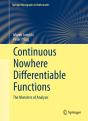 Continuous Nowhere Differentiable Functions - Preview