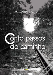 Capa do artigo Conto Passos do Caminho