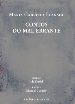 Capa do artigo Contos do Mal Errante