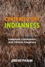 Contradictory Indianness - Preview