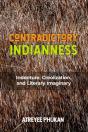 Contradictory Indianness - Preview