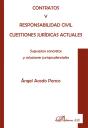 Contratos Y Responsabilidad Civil. Cuestiones Jur¡Dicas Actuales - Preview