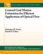 Control Grid Motion Estimation For Efficient Application Of Optical Flow - Preview