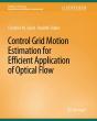 Control Grid Motion Estimation For Efficient Application Of Optical Flow - Preview