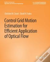 Control Grid Motion Estimation For Efficient Application Of Optical Flow