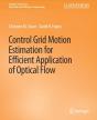 Control Grid Motion Estimation For Efficient Application Of Optical Flow - Preview