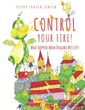 Capa do artigo Control Your Fire!