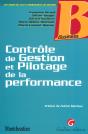 Controle De Gestion Et Pilotage De La Performance - Preview