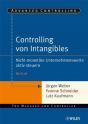 Controlling Von Intangibles - Preview