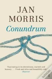 Capa do artigo Conundrum