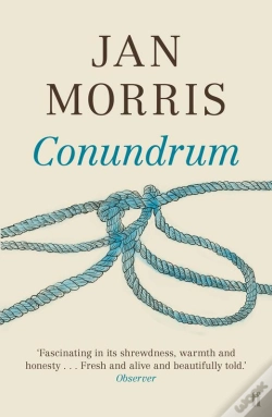 Capa do artigo Conundrum