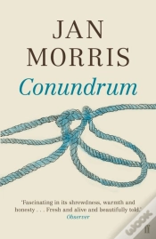 Capa do artigo Conundrum