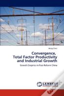Convergence, Total Factor Productivity And Industrial Growth