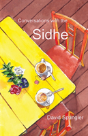 Conversations With The Sidhe - Preview