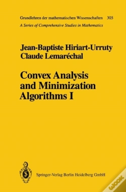Capa do artigo Convex Analysis And Minimization Algorithms I