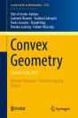 Convex Geometry - Preview