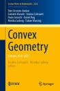 Convex Geometry - Preview