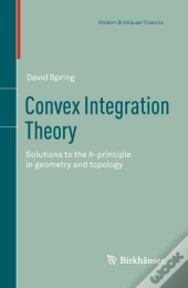 Convex Integration Theory