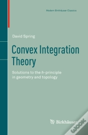 Capa do artigo Convex Integration Theory