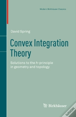 Capa do artigo Convex Integration Theory