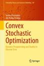 Convex Stochastic Optimization - Preview