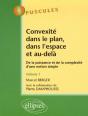Convexité Dans Le Plan, Dans L'Espace Et Au-Delà. De La Puissance À La Complexité D'Une Notion Simple - Volume 1 - N°5 - Preview