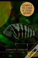 Convict Cichlid