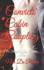 Convicts' Cabin Coupling - Preview