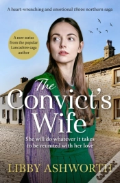 Capa do artigo Convict