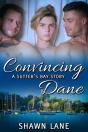 Convincing Dane - Preview