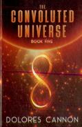 Convoluted Universe: Book Five