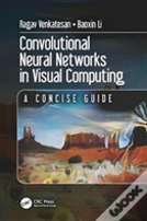 Convolutional Neural Networks In Visual Computing