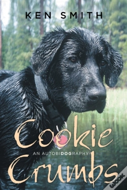 Capa do artigo Cookie Crumbs