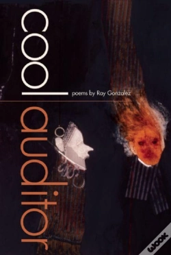Capa do artigo Cool Auditor