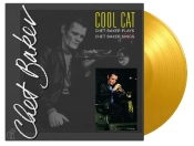 Capa do artigo Cool Cat - Vinil