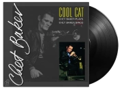 Capa do artigo Cool Cat - Vinil