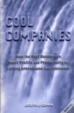 Capa do artigo Cool Companies