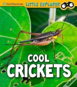 Capa do artigo Cool Crickets