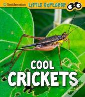 Cool Crickets