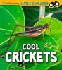 Cool Crickets - Preview
