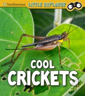 Capa do artigo Cool Crickets