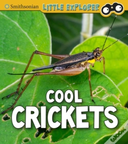 Capa do artigo Cool Crickets