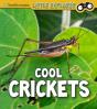 Cool Crickets - Preview